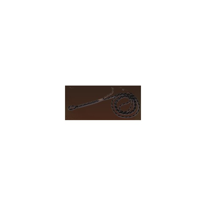 Lanyard