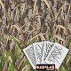 Duck Grass HD8 Stencil Kit