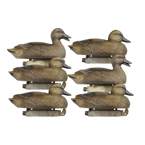 Tanglefree Green Wing Teal 6 pack hens