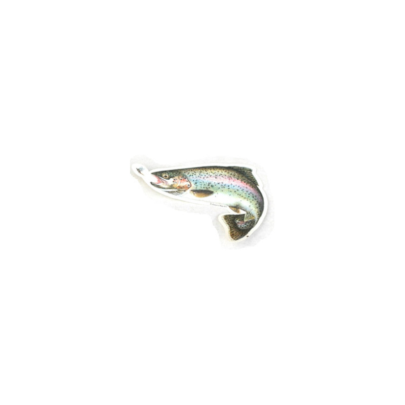 Car decal Rainbow trout 14 cm